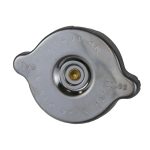 TAPON DEPÓSITO DE REFRIGERANTE, FREIGHTLINER M2 106 (2005-2010), PARA TANQUE S-20638 = 05-17223-002, WA195-0042, 572.2001, 740029, 902-5202
